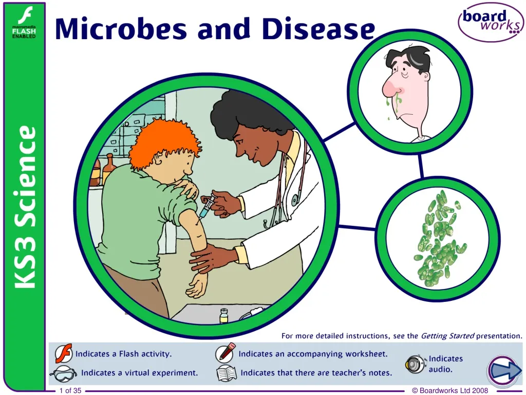 microbes and disease