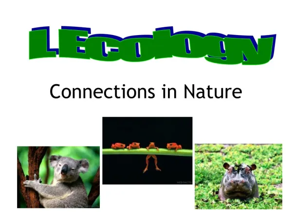 Connections in Nature
