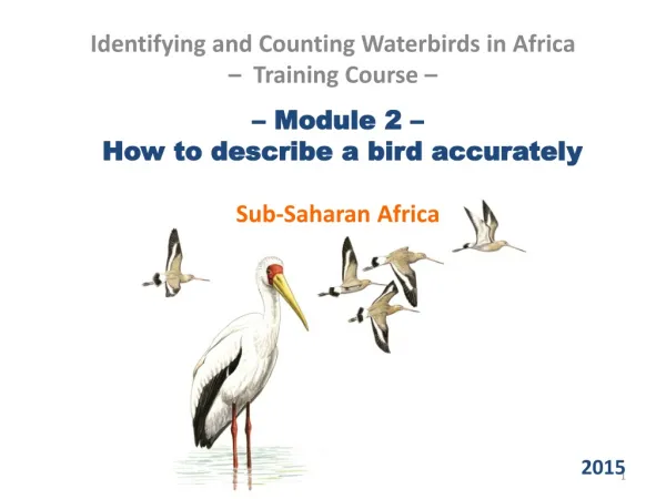 – Module 2 – How to describe a bird accurately Sub-Saharan Africa