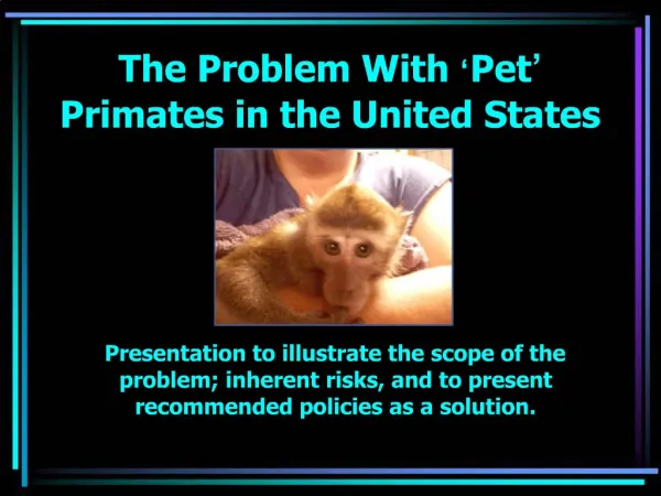 The Problem With Pet Primates in the United States