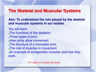 PPT - 7th Grade Unit 5: The Structure And Function Of Body Systems ...