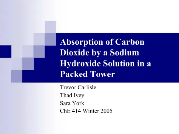 Absorption of Carbon Dioxide by a Sodium Hydroxide Solution in a Packed Tower