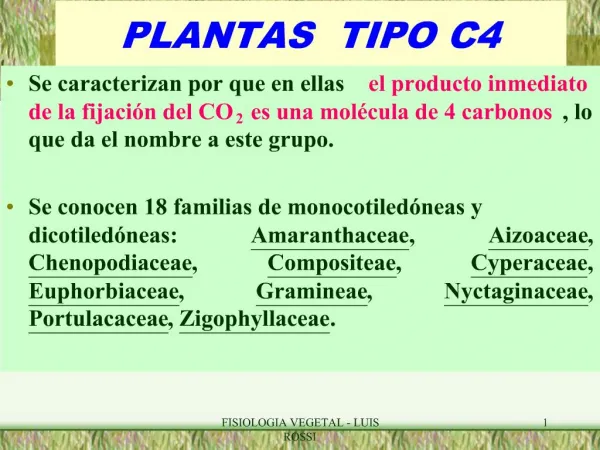 PLANTAS TIPO C4
