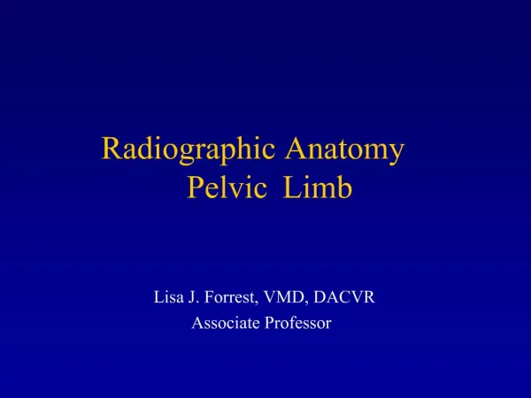 Radiographic Anatomy Pelvic Limb