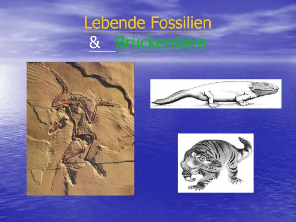 Lebende Fossilien Br ckentiere