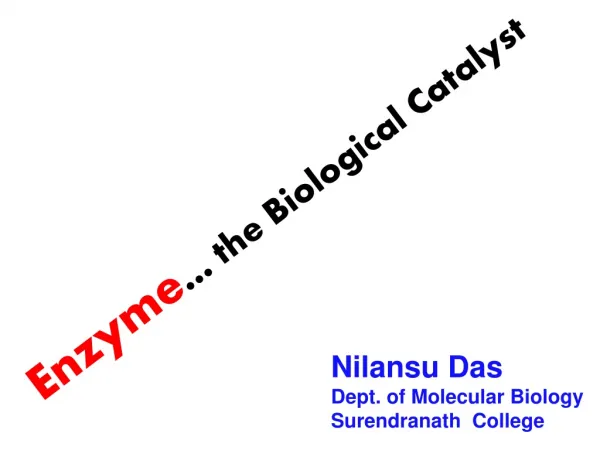 Enzyme … the Biological Catalyst