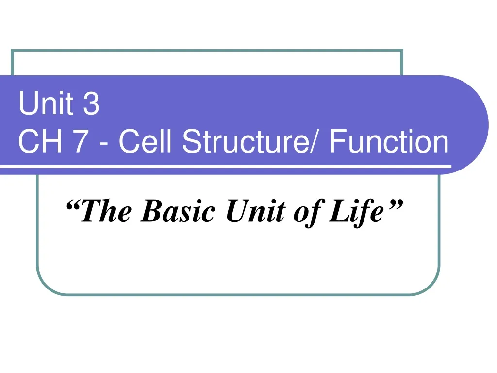 unit 3 ch 7 cell structure function