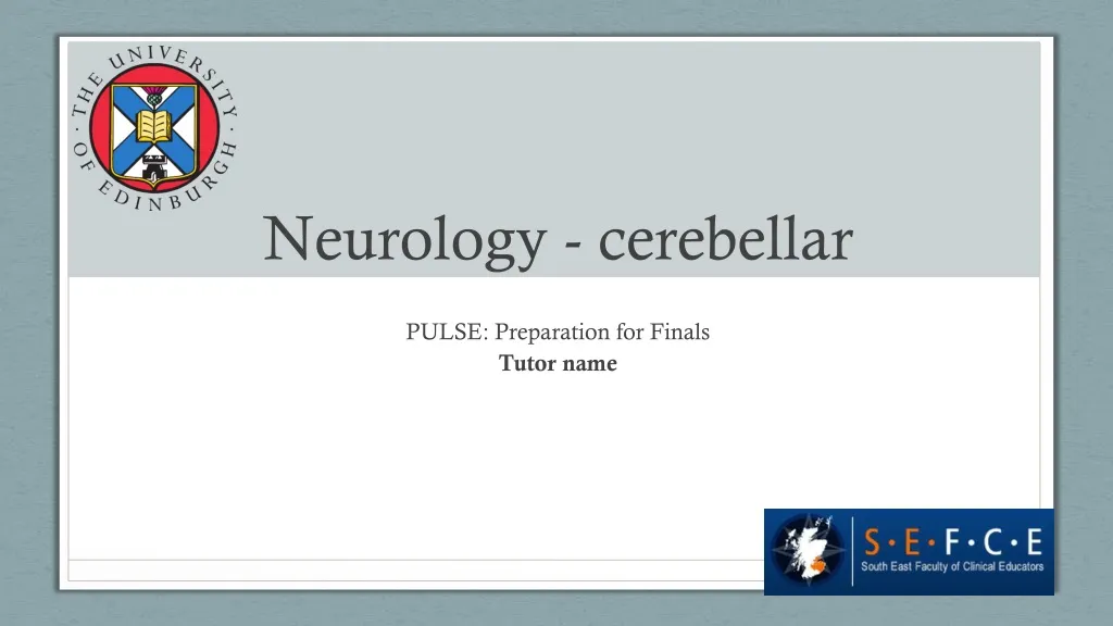 neurology cerebellar