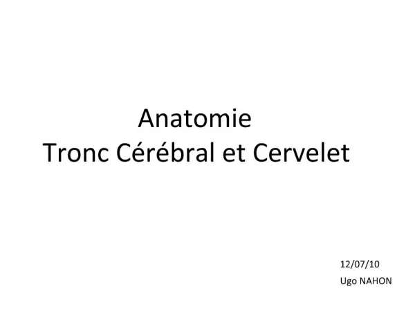 Anatomie Tronc C r bral et Cervelet