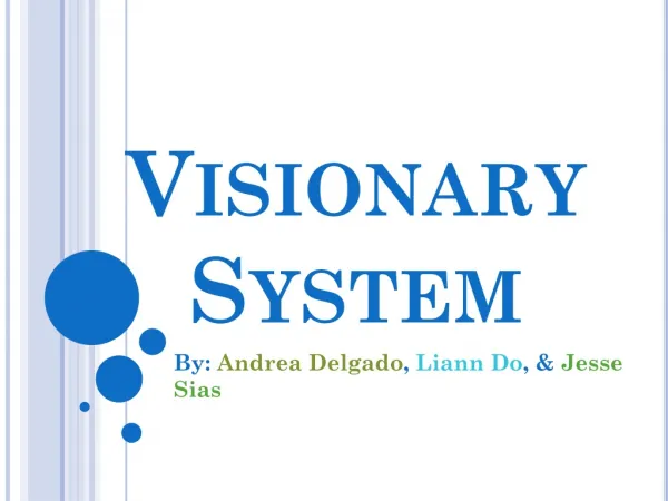Visionary System