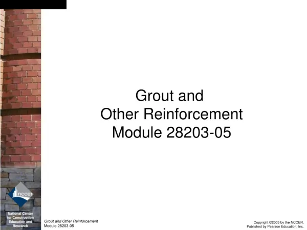 Grout and Other Reinforcement Module 28203-05