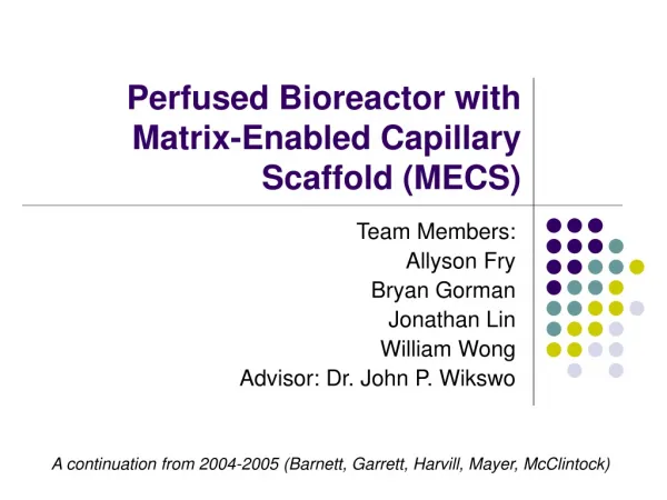 Perfused Bioreactor with Matrix-Enabled Capillary Scaffold (MECS)