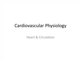 ANATOMY AND PHYSIOLOGY OF CARDIOVASCULAR PPT intelligence overview