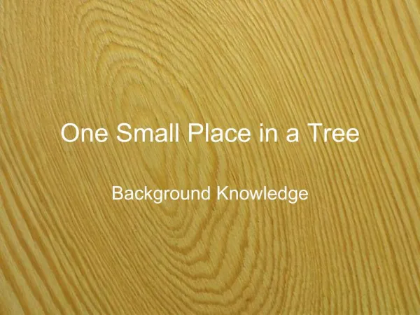 One Small Place in a Tree