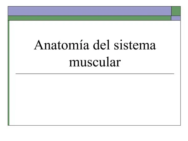 Anatom a del sistema muscular