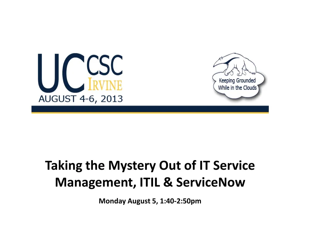 taking the mystery out of it service management