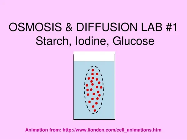 OSMOSIS &amp; DIFFUSION LAB #1 Starch, Iodine, Glucose