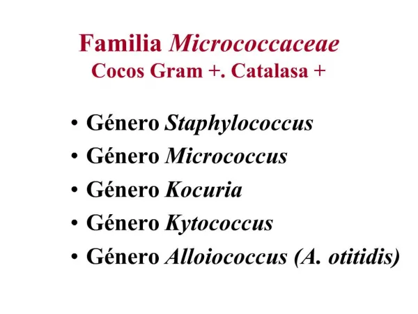 Familia Micrococcaceae Cocos Gram . Catalasa