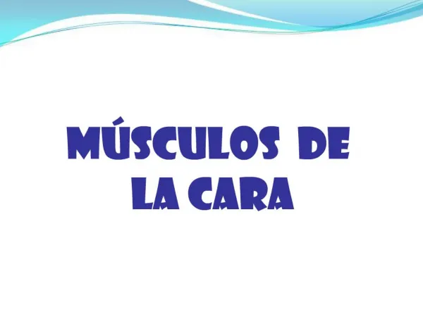 Músculos DE LA CARA