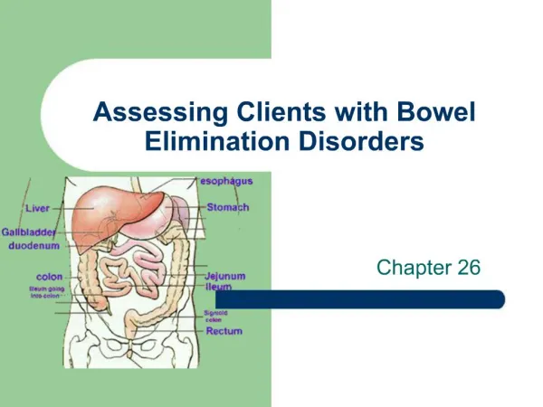 Assessing Clients with Bowel Elimination Disorders