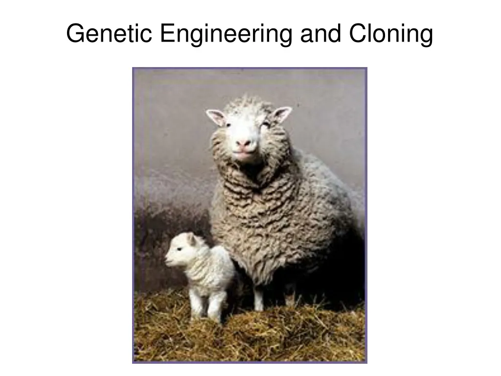 genetic engineering and cloning