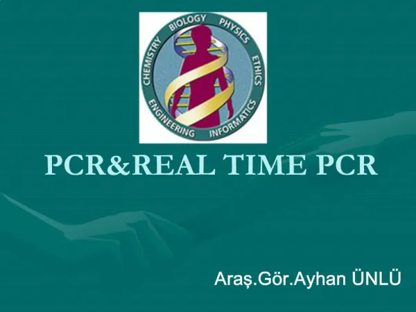 PCRREAL TIME PCR