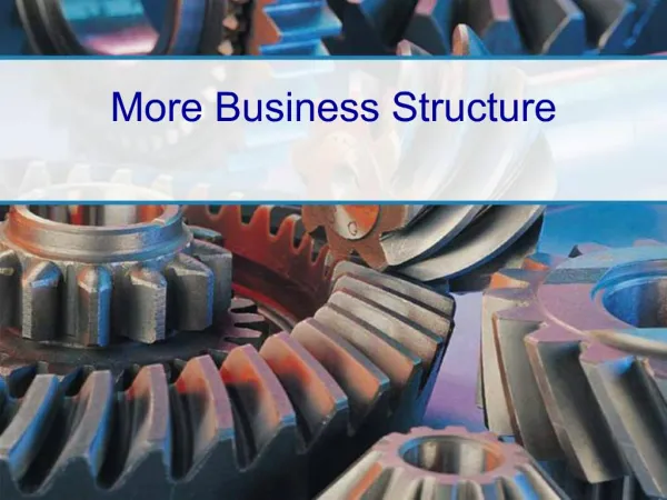 More Business Structure