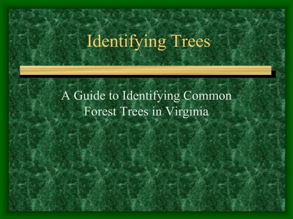 Identifying Trees