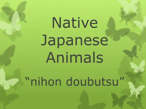 Native Japanese Animals