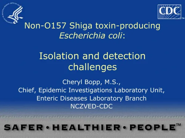 Non-O157 Shiga toxin-producing Escherichia coli: Isolation and detection challenges