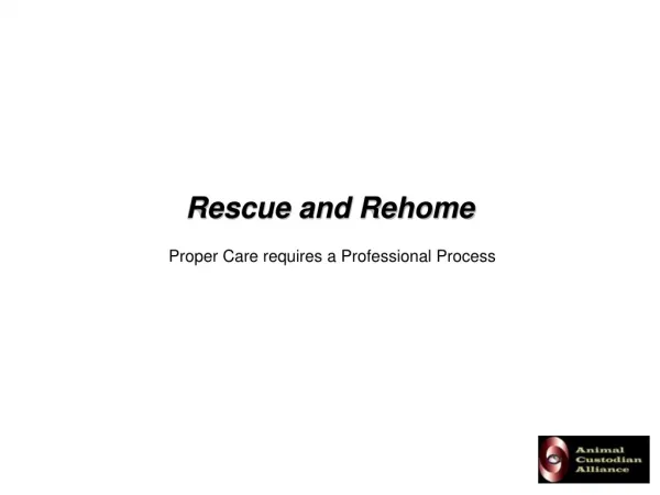 Rescue and Rehome