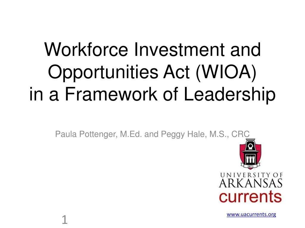 workforce investment and opportunities act wioa in a framework of leadership