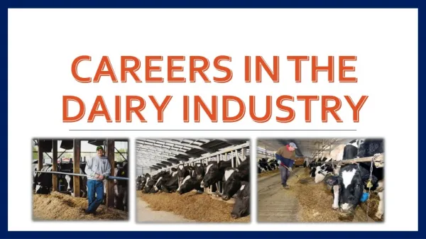 Careers in the Dairy Industry