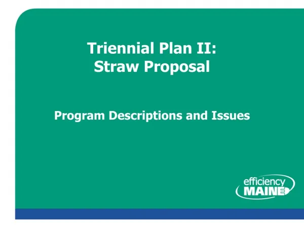 Triennial Plan II: Straw Proposal