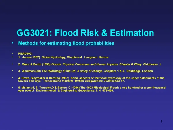 GG3021: Flood Risk Estimation