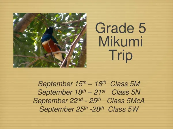 Grade 5 Mikumi Trip