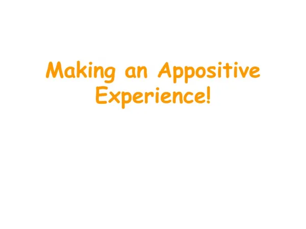 Making an Appositive Experience!