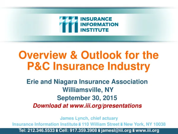 Overview &amp; Outlook for the P&amp;C Insurance Industry