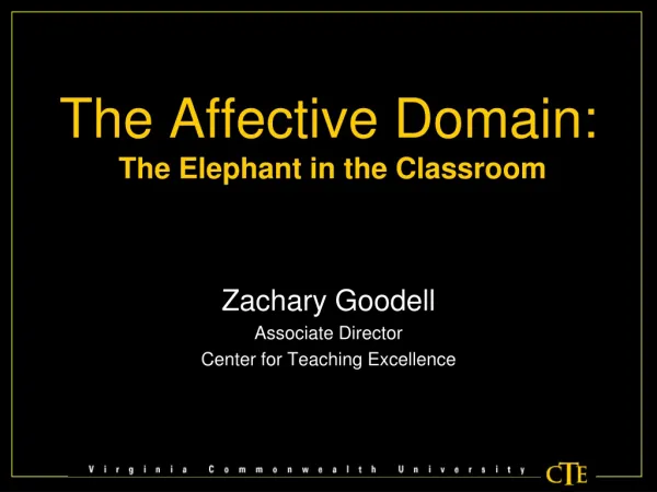 The Affective Domain: The Elephant in the Classroom
