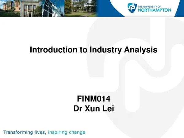 Introduction to Industry Analysis FINM014 Dr Xun Lei