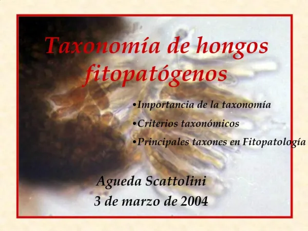 Taxonom a de hongos fitopat genos