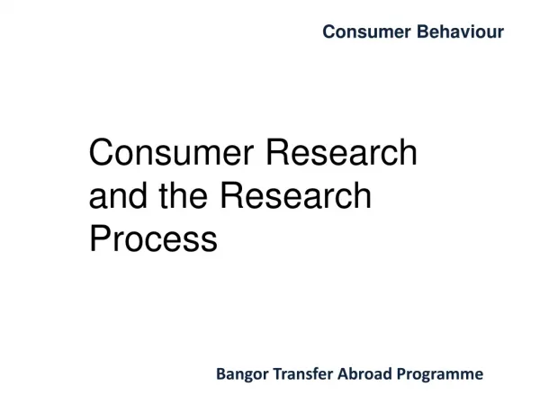Consumer Research and the Research Process