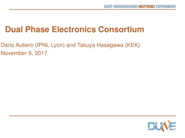 Dual Phase Electronics Consortium