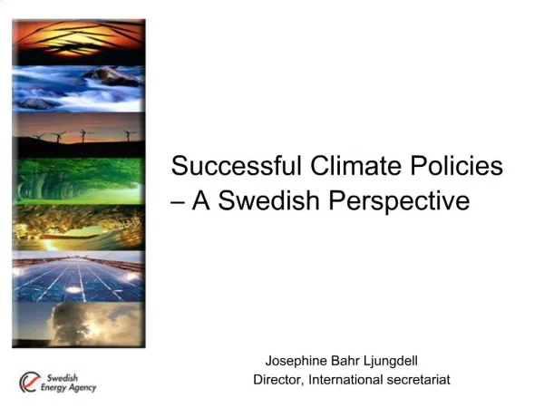 Successful Climate Policies A Swedish Perspective
