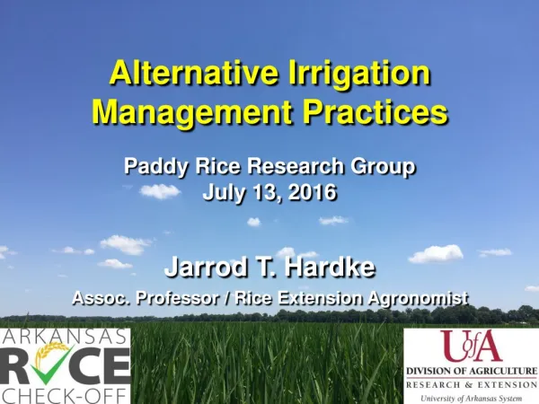 Alternative Irrigation Management Practices Paddy Rice Research Group July 13, 2016