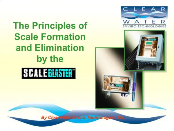 The Principles of Scale Formation and Elimination by the
