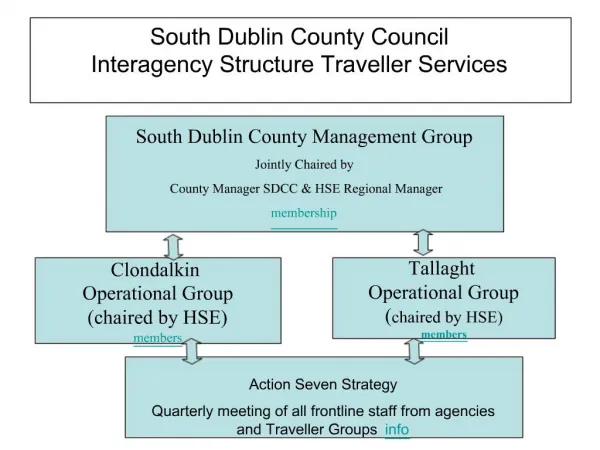 South Dublin County Council Interagency Structure Traveller Services