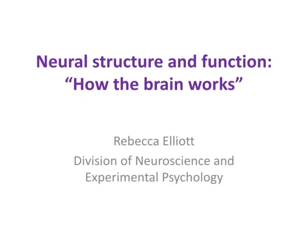 Neural structure and function: “How the brain works”