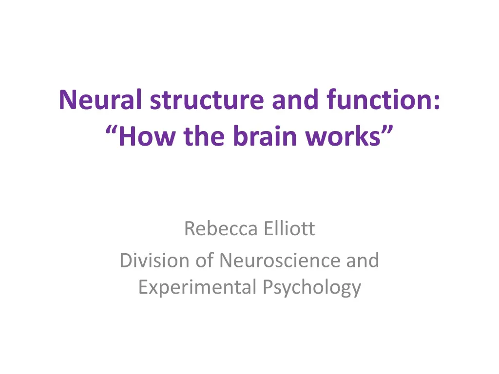 neural structure and function how the brain works