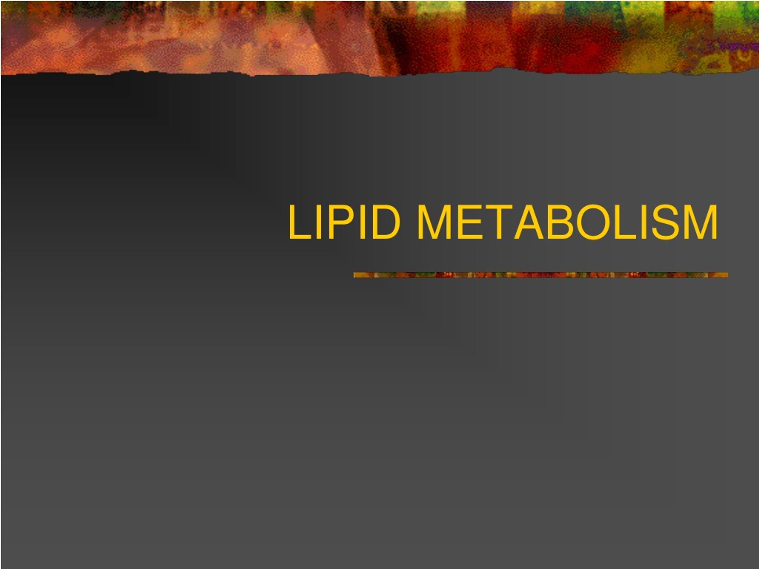 PPT - LIPID METABOLISM PowerPoint Presentation, free download - ID:237194
